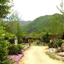 산중펜션 이미지