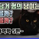 우주컴퓨터 이미지