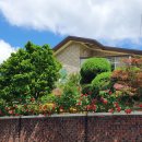 월산4동 행정복지센터 이미지