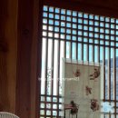 이이피 | 경주 황리단길 실내 애견동반 카페 이이로 다녀온 후기 (2024.07.27 방문)