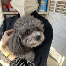 그루밍솔루션 구로점 이미지