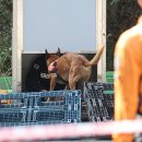 중앙119구조본부(호남119특수구조대) 이미지