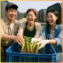 크루별장 이미지