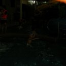 월드 합기도 이미지