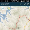 영춘 이미지