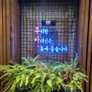 Mucca(무카) 이미지