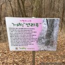 23-A-00부대 시설공사 | [강원 홍천] 가리산 최단 코스 차선 - 시간 압박 및 강풍..