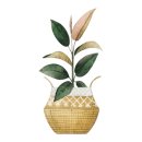 석촌근린공원 이미지