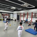 STS한국체대태권도 이미지