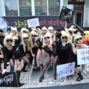 가가오토 이미지