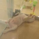 완성농장 이미지