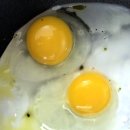 햇살1 | 난각번호 1번 새벽햇살계란 3개월 정착 후기