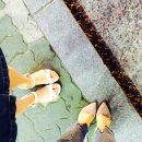 킹스통나무 이미지