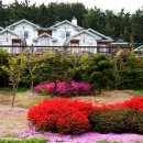 골든펜션 이미지