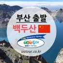 천지항공여행사 이미지