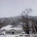 왕산중학교 이미지