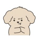 빨리펫 이미지