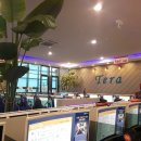 테라 PC 카페 이미지