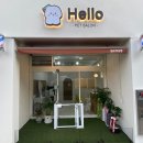 살랑살랑 펫미용 이미지