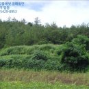 고금면-1 이미지