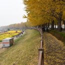 은행나무길 화장실 이미지