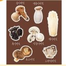 흰목이버섯 : 김O미 강사님 이미지