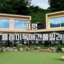 플레이독애견카페 | 가평 애견동반 수영장 펜션 추천 플레이독 애견풀빌라 내돈내산 후기
