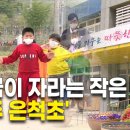 은척초교 이미지