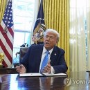 트럼프 이미지