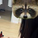 까사드리