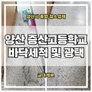 증산고등학교 | 양산 고등학교 바닥세척 및 광택작업