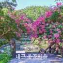 이유 정려각 | 대구 옻골마을 배롱나무 명소 개화상황 고택 주차장 정보 여름 가볼만한곳
