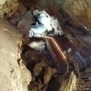 동굴생태관 화장실 이미지