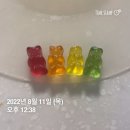 멍개그루밍 | 8월 둘째주 일기