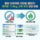 88바이오스 | [공지] [혈당 다이어트] 체중 -8.4kg 감량중 체지방만 -7.4kg 감량? 100일 필그레이트 챌린지 결과