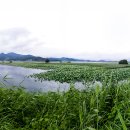 롯데스파랜드 이미지