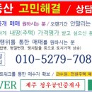 봉공인중개사사무소 이미지