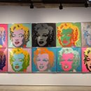 아라리오뮤지엄 탑동시네마 이미지