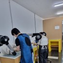 영천애견미용 이미지