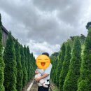 초산2동입구~중덕저수지 | 김천 근교 아기랑 갈만한곳 상주 카페 파머스룸