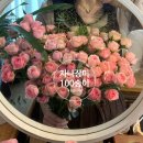 &lt;선릉꽃집/대치동꽃집&gt; 자나장미 100송이 꽃다발
