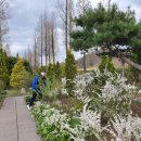 행정사 푸른사무소 이미지