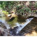 이맛이딱이야 이미지