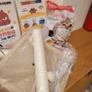 견생냥품 무인24시 충주호암점 이미지