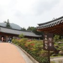 마복산목재문화체험장 이미지