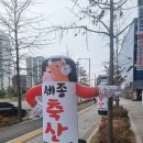 [대구 정육점] 달서구 대곡동 세종축산, 가성비좋고 고기질좋은 정육점