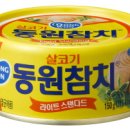 모참치 이미지