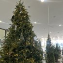 현대(아) 이미지