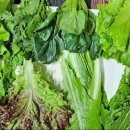 재성농장 이미지