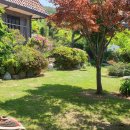 세구지5 이미지